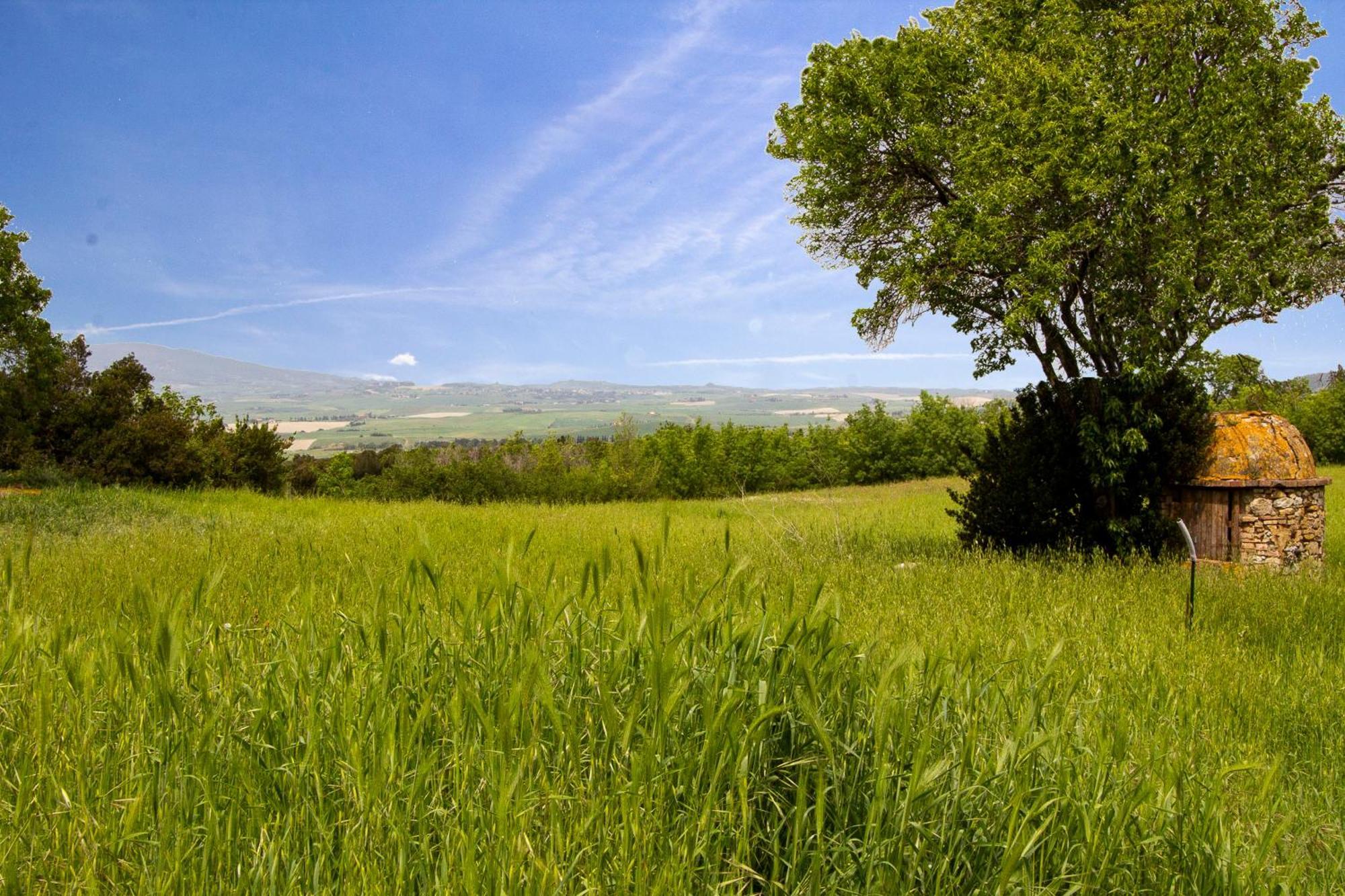 Casetta De Sodoni By Tuscanywego Pomaia Екстер'єр фото